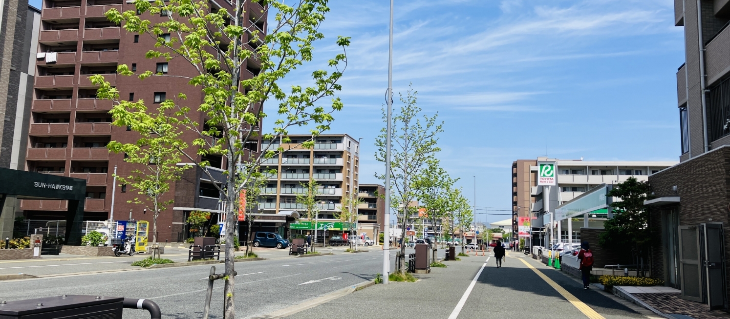 道路と建物の画像